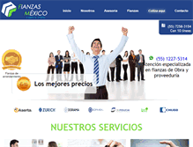Tablet Screenshot of fianzasmexico.com